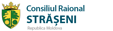 Strășeni District